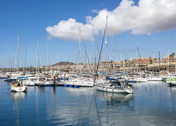 Albatros 234 In Tenerife South 公寓 圣米格尔德阿沃纳